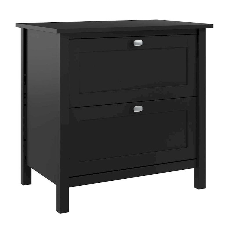 2-Drawer Lateral File Cabinet for Letter, Legal and A4 Files