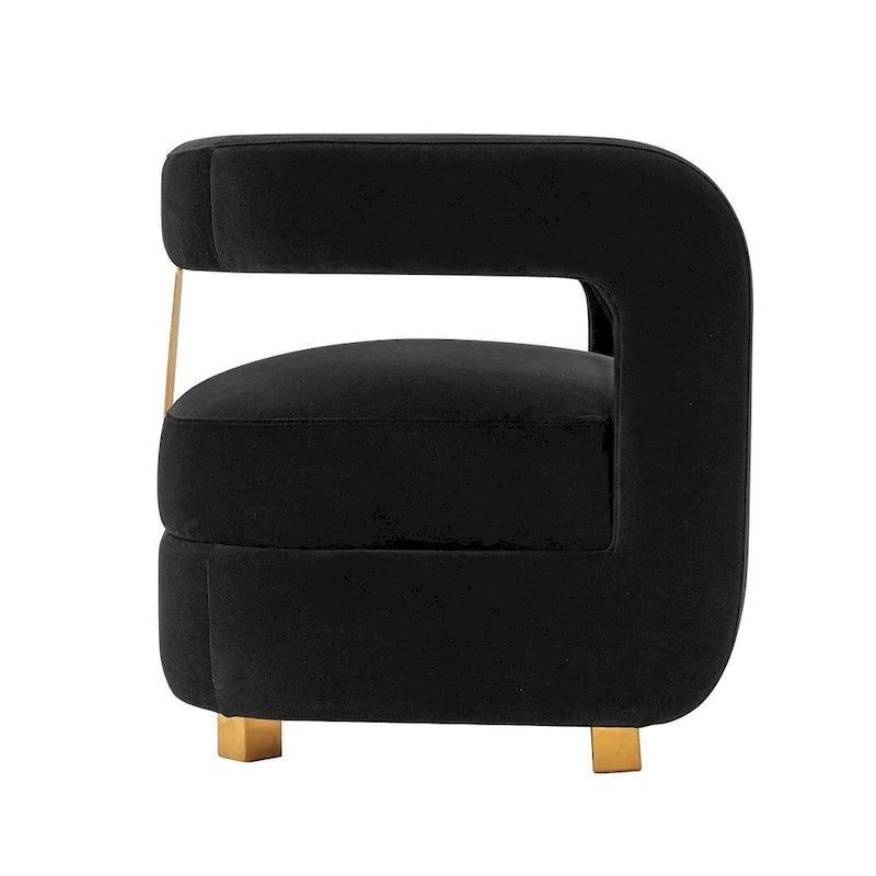 Velvet Accent Chairs with Gold-Tone Legs, Set of 2