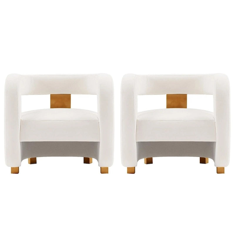Velvet Accent Chairs with Gold-Tone Legs, Set of 2
